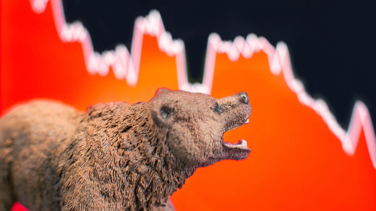 invest bear market