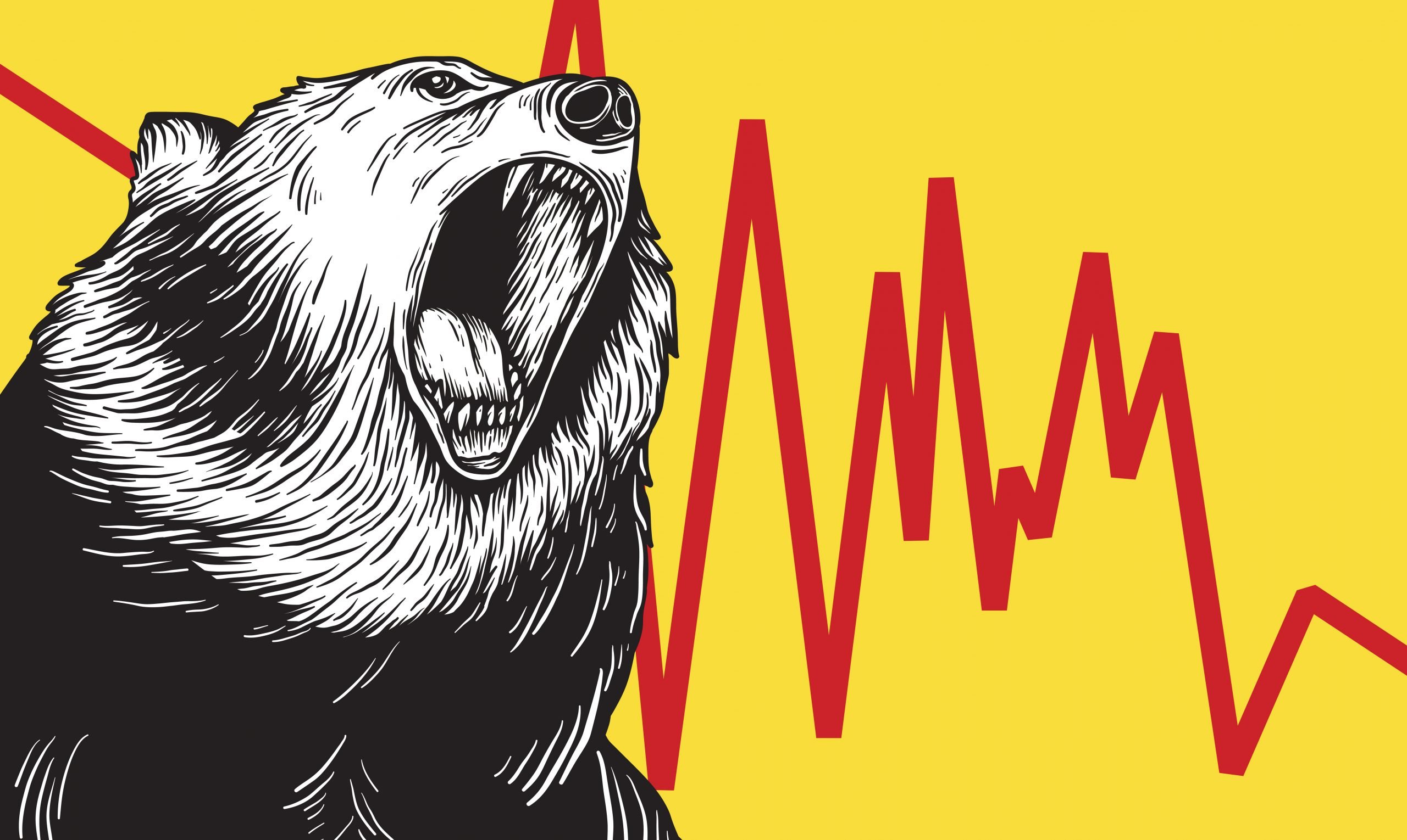 bear illustration related to the bear market